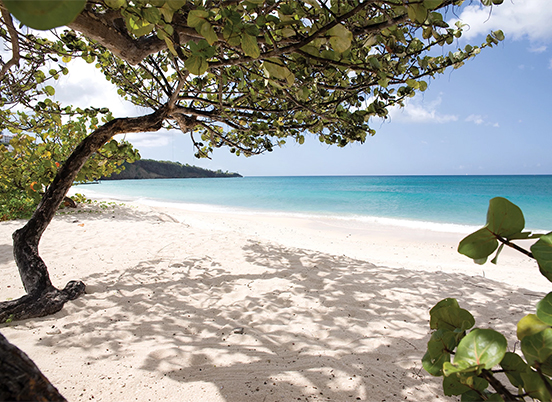 Beach Resorts Grenada