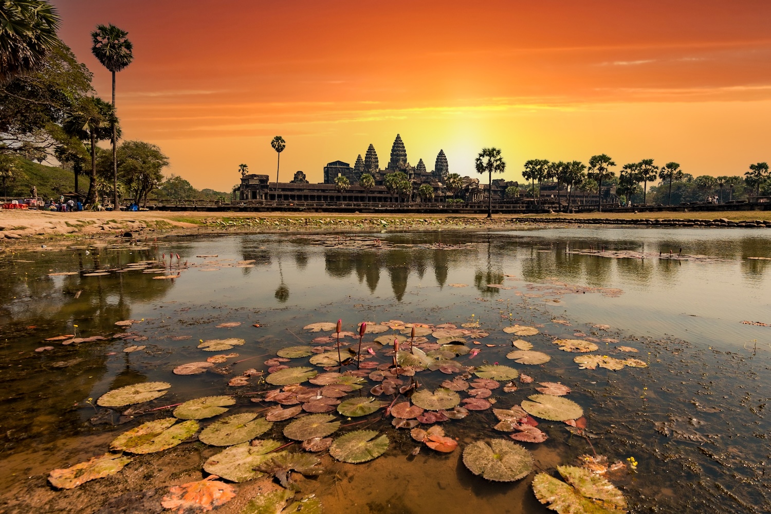 Angkor Wat | Cambodia | Swift Travel