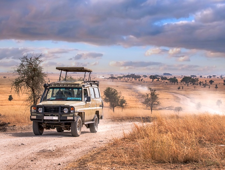 Ranger Vehicle | Africa | Swift Travel