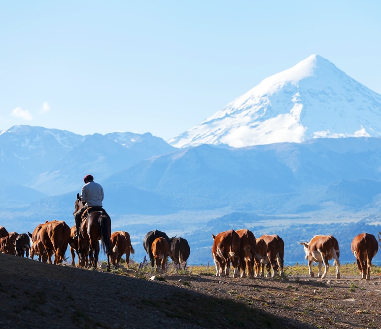 Gauchos | Argentina | Swift Travel