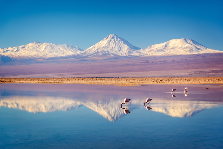 Atacama Desert | Chile | Swift Travel