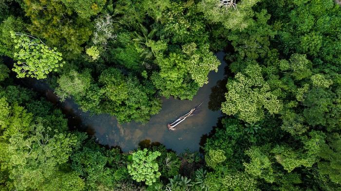 Peruvian Amazon River | Peru | Swift Travel