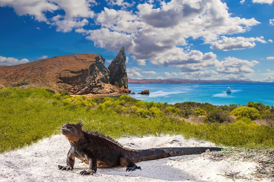 Landscapes of the Galapagos | Galapagos Islands | Swift Travel