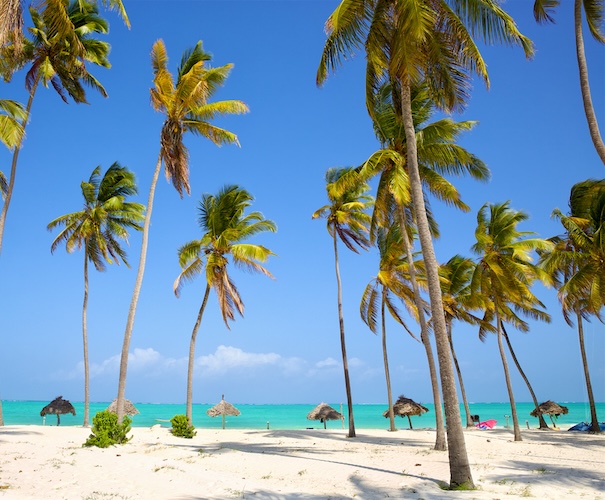 Beachfront View | Zanzibar | Swift Travel