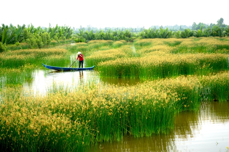 Mekong Delta | South East Asia | Swift Travel