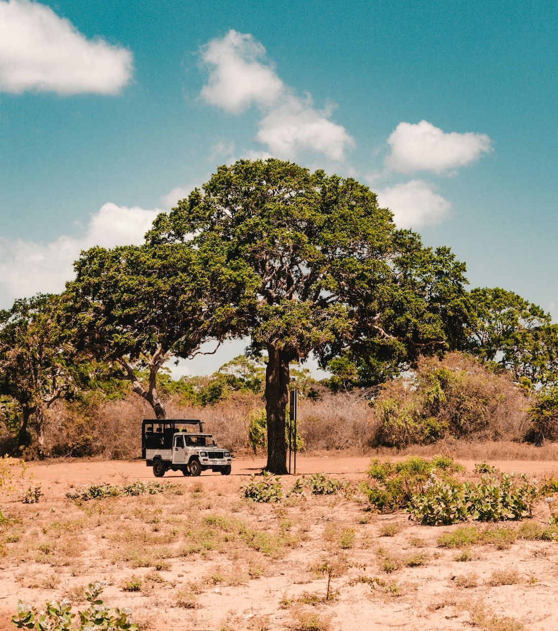 Yala National Park Safari | Sri Lanka | Swift Travel