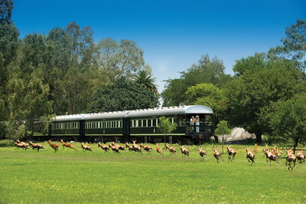 Rovos Rail Carriage | South Africa | Swift Travel