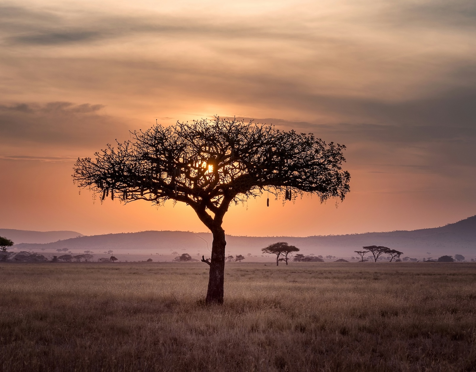 Great Kruger | South Africa | Swift Travel