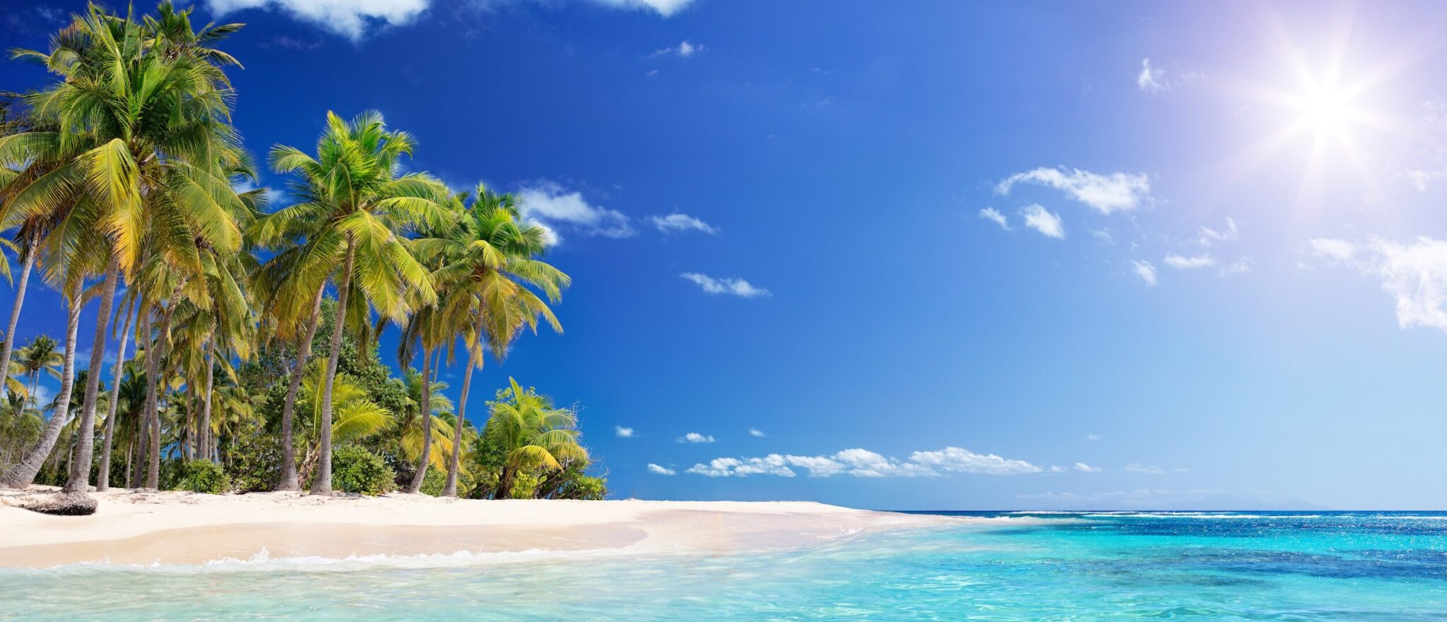 Explore the wonders of the Caribbean