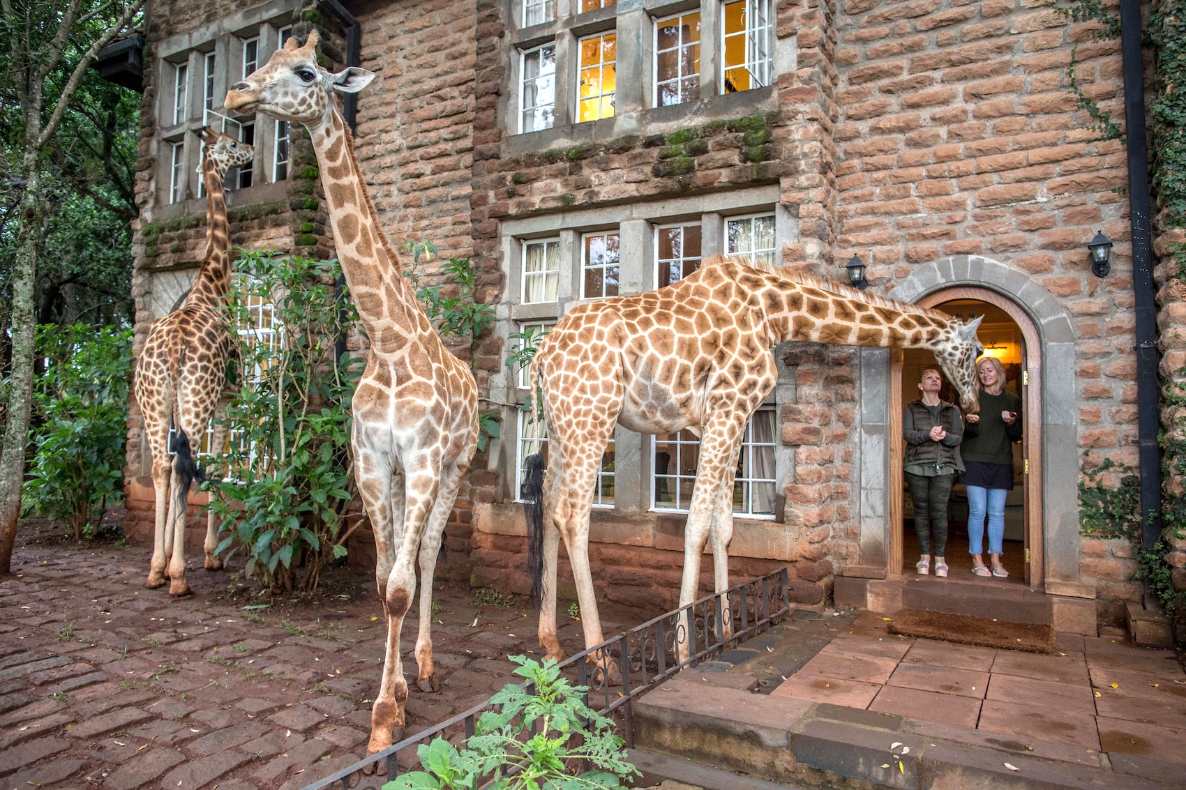 Giraffe Manor, Nairobi | Kenya | Swift Travel