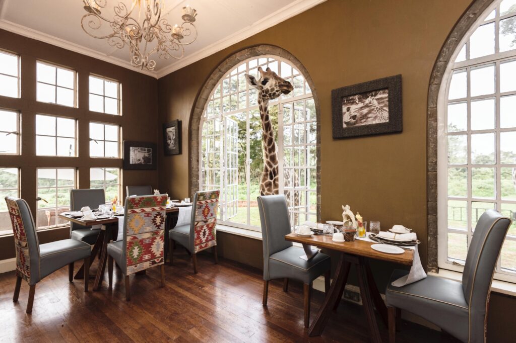 Giraffe Manor, Nairobi | Kenya | Swift Travel