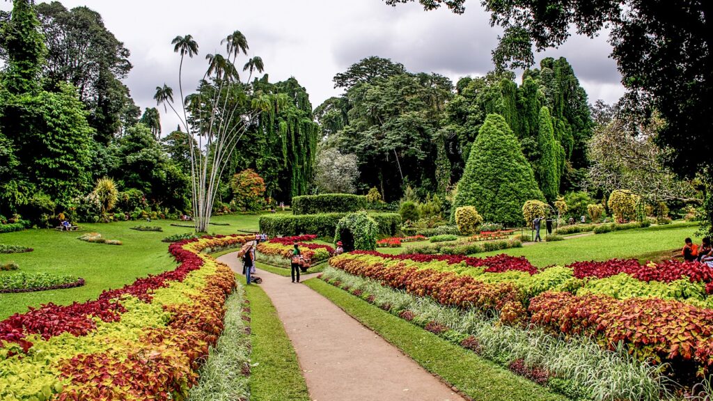 Peradeniya Botanical Gardens | Sri Lanka | Swift Travel