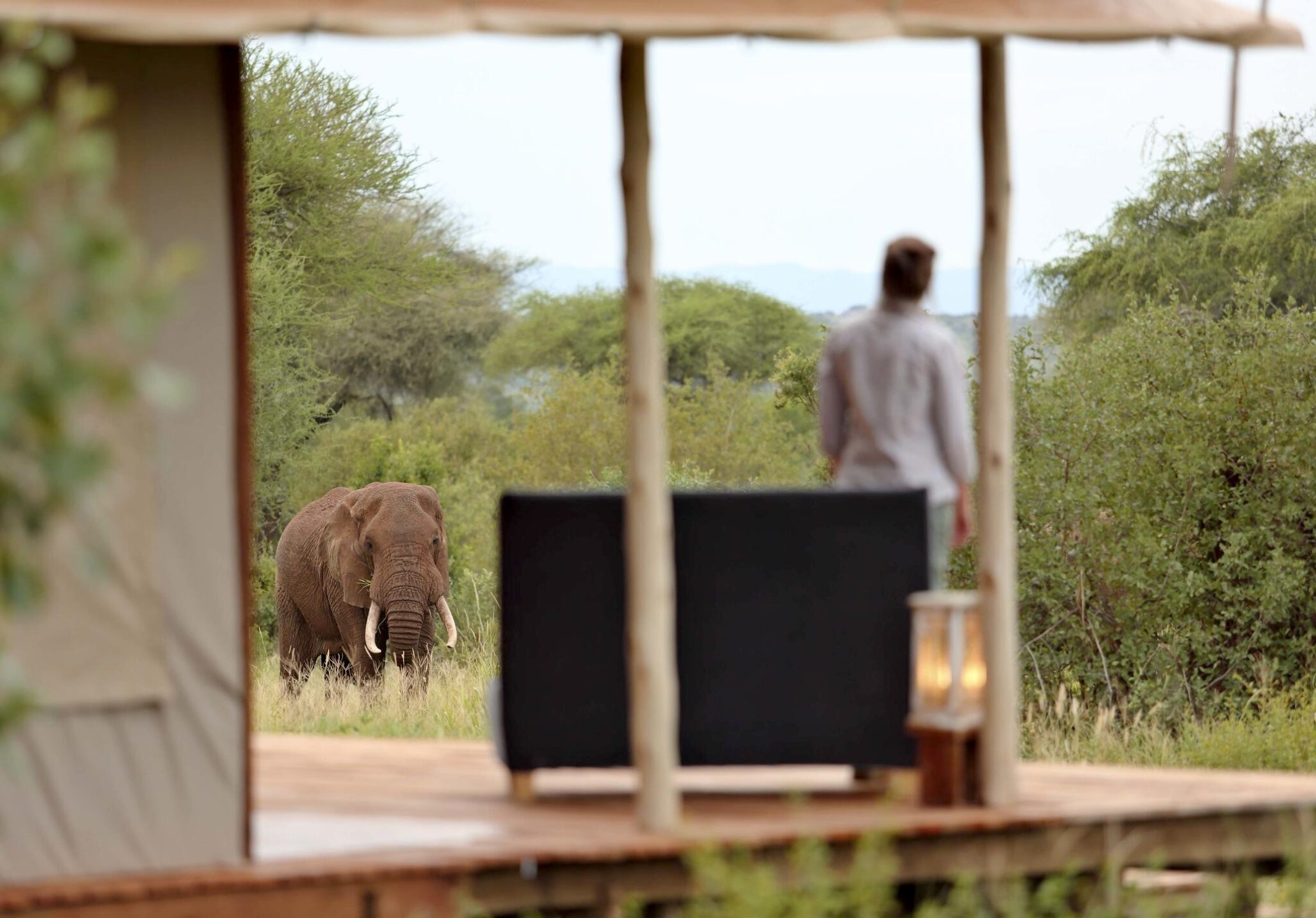 Tarangire Ndovu Tented Lodge, Tanzania