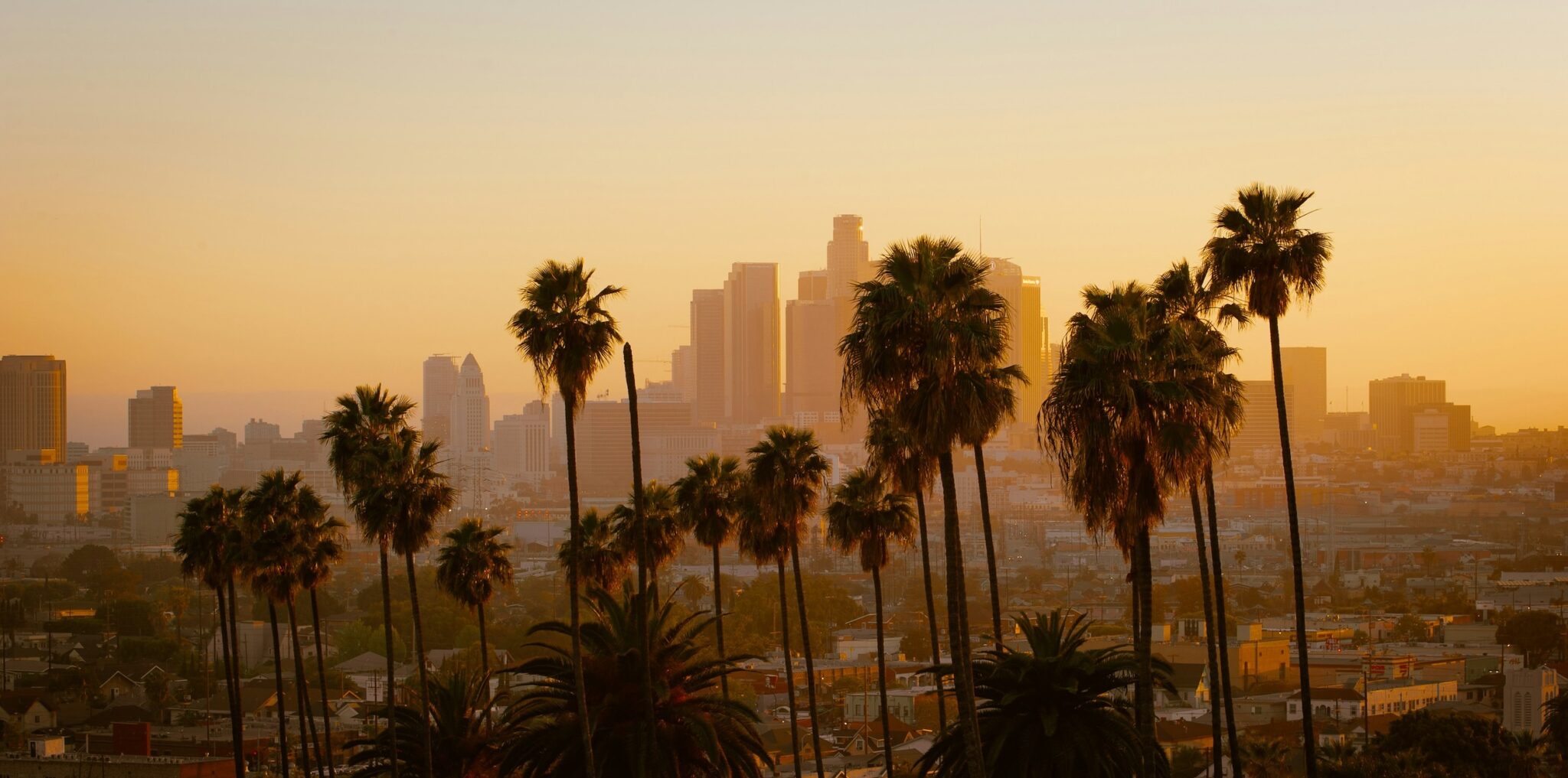 Adventure Awaits In Los Angeles