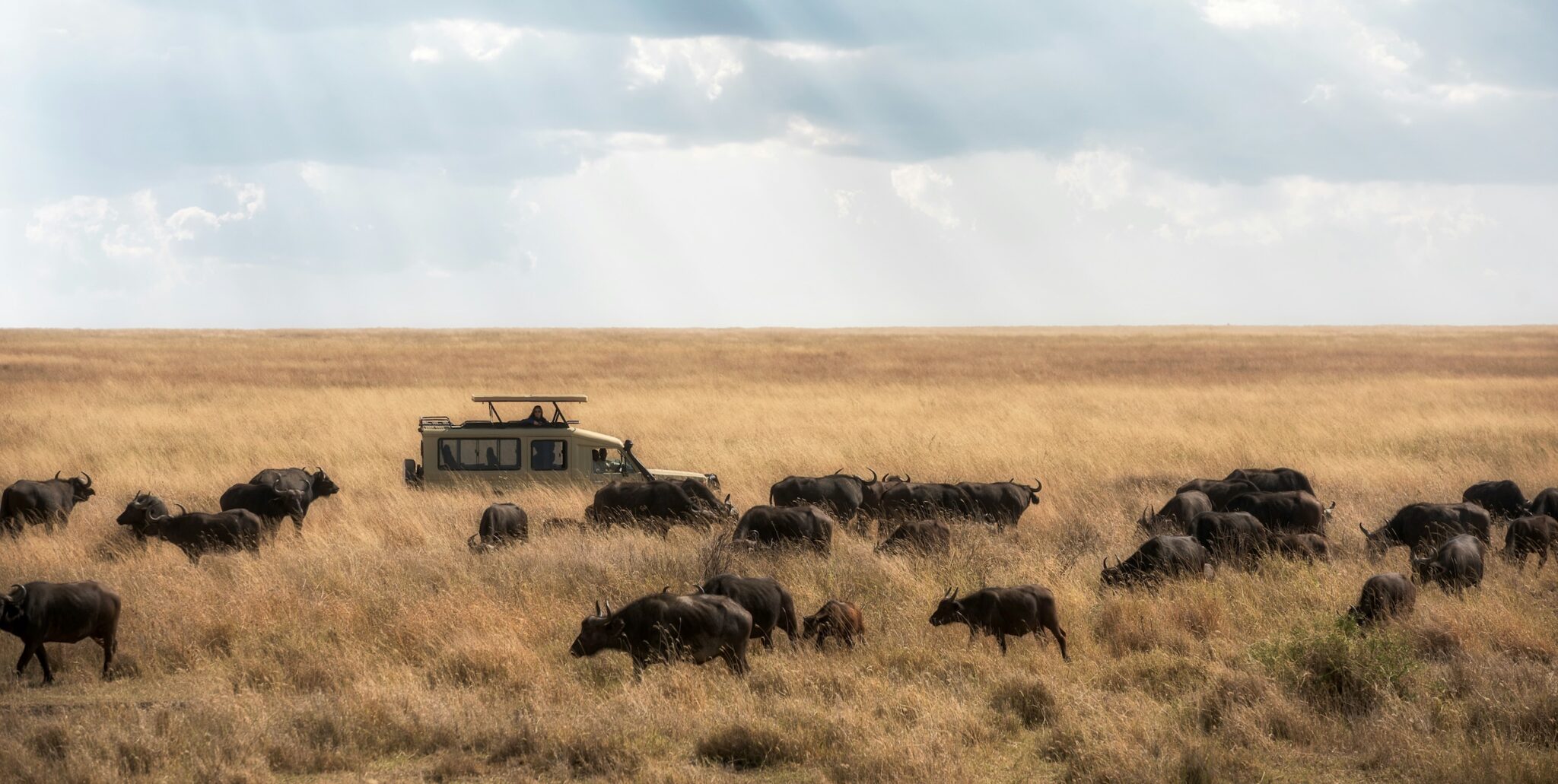 Wild Adventures Await in Tanzania