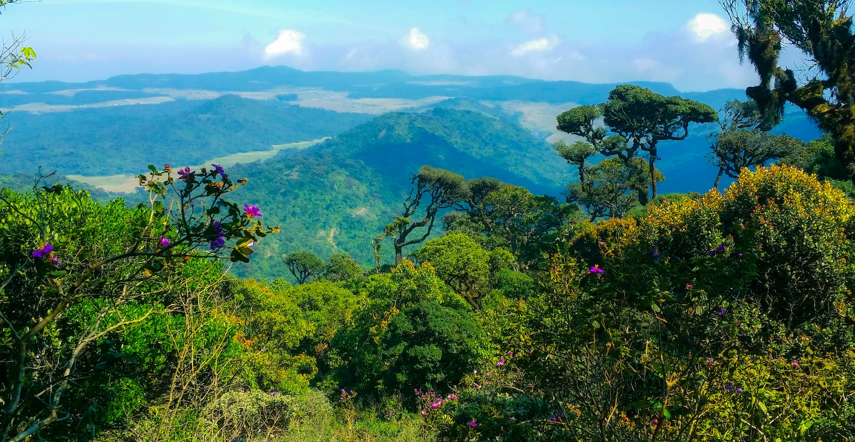 Horton Plains | Sri Lanka | Swift Travel