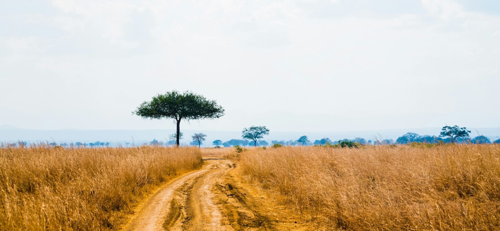 Northern vs Southern Tanzania