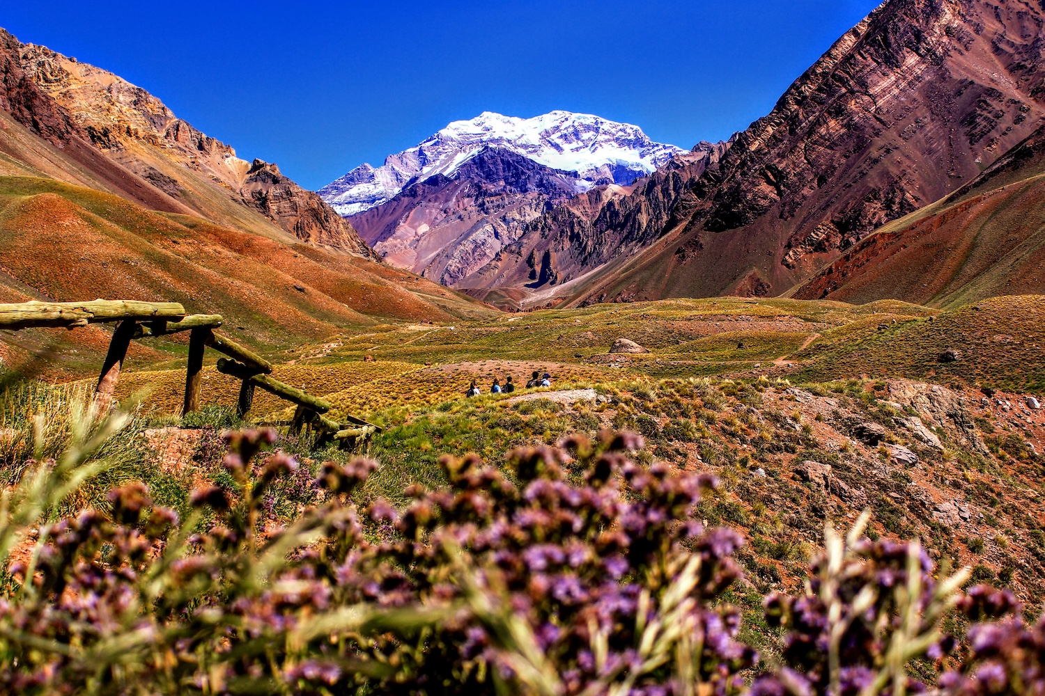 Aconcagua Park, Mendoza | Argentina | Swift Travel