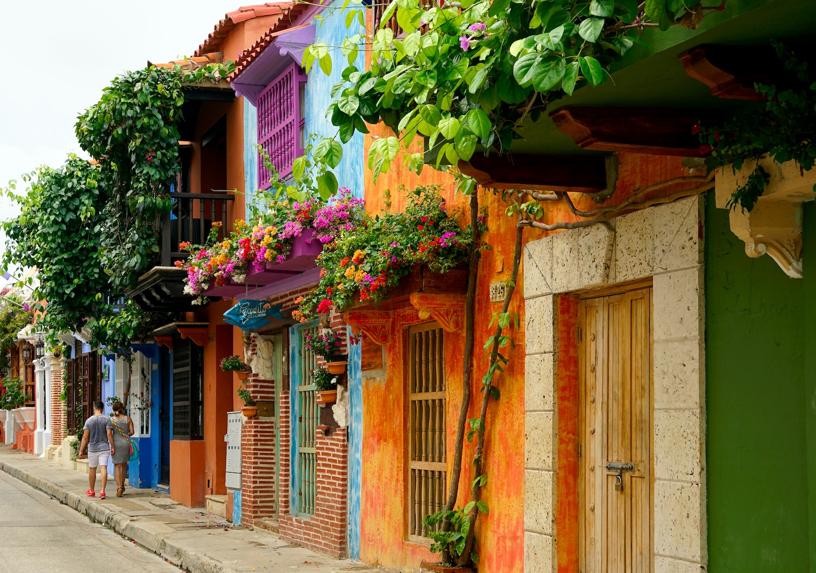 Explore The Wonders Of Colombia