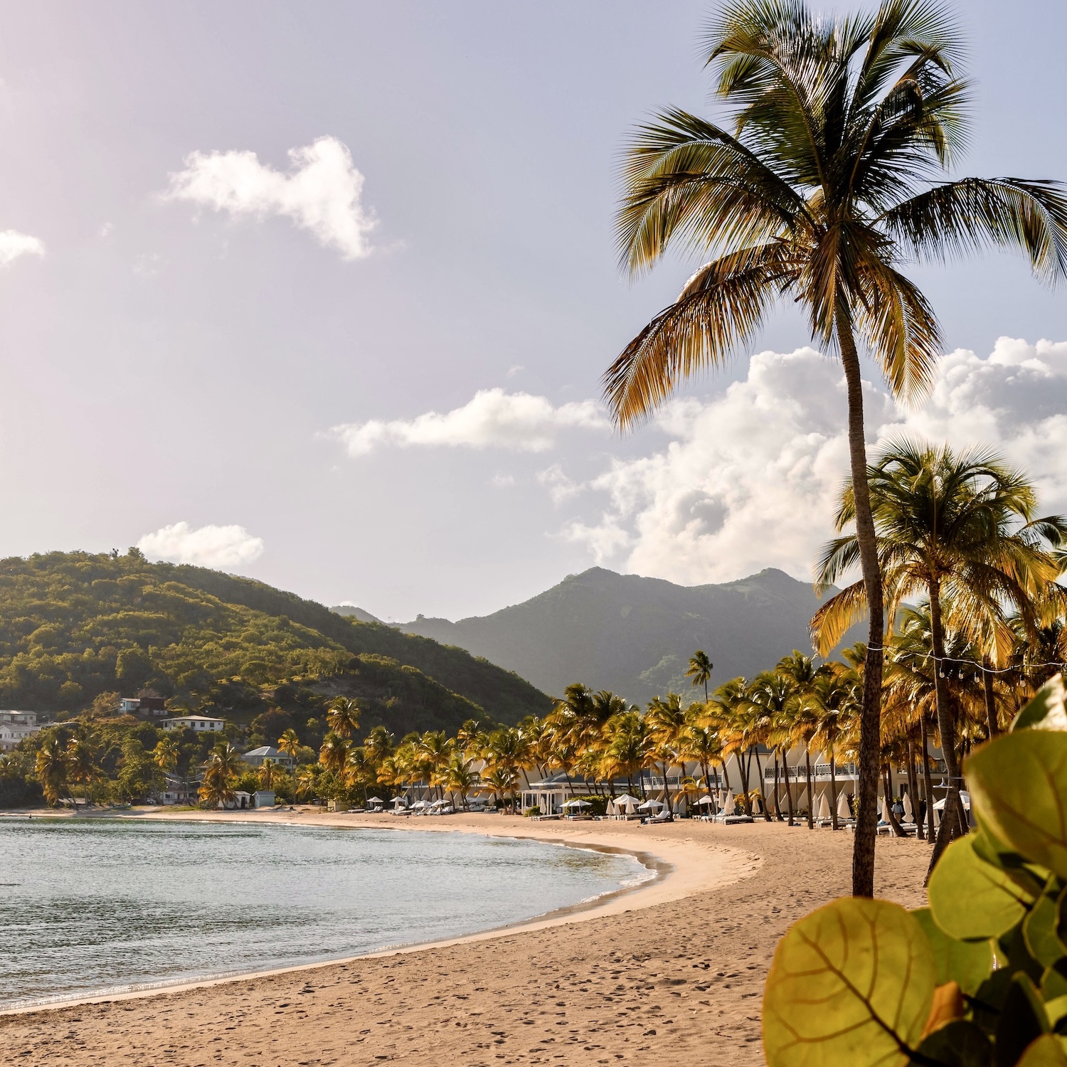 Carlisle Bay, Antigua | Caribbean | Swift Travel