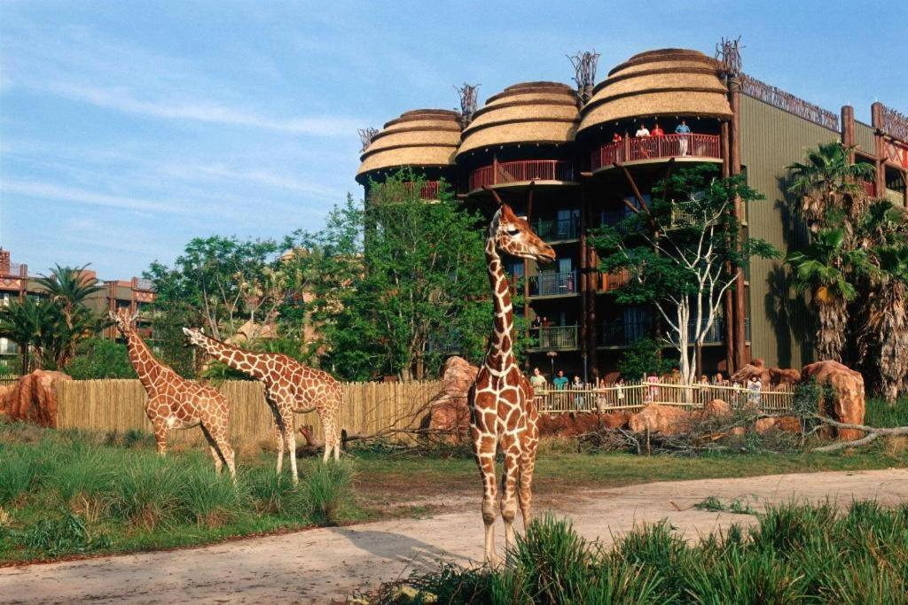 Disney's Animal Kingdom Lodge, Orlando