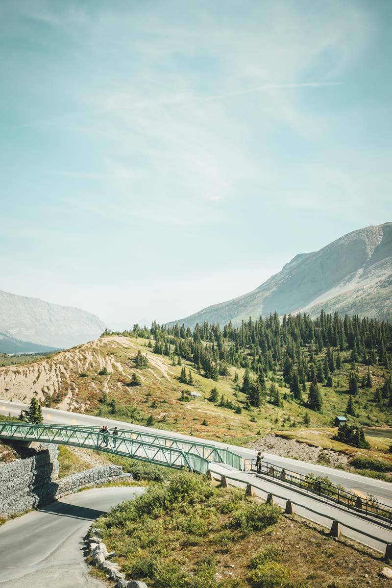 Glacier View Lodge | Canada | Swift Travel