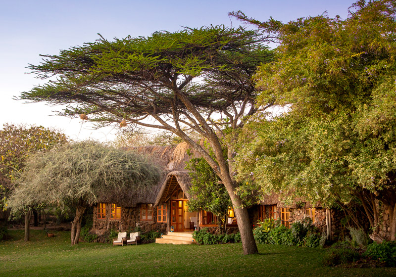 Lewa Wildern | Kenya | Swift Travel