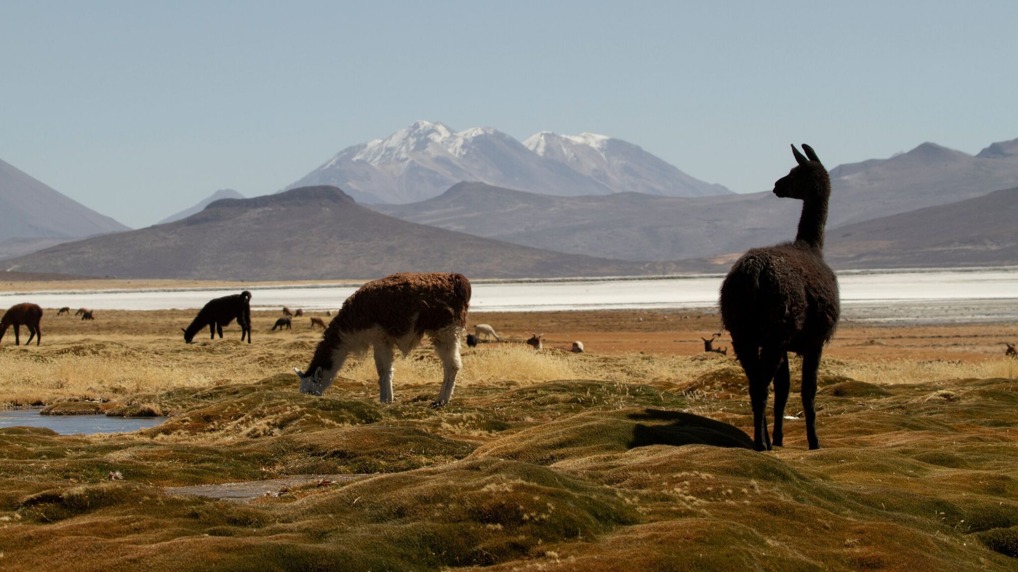 Puqio, Colca Valley, Peru