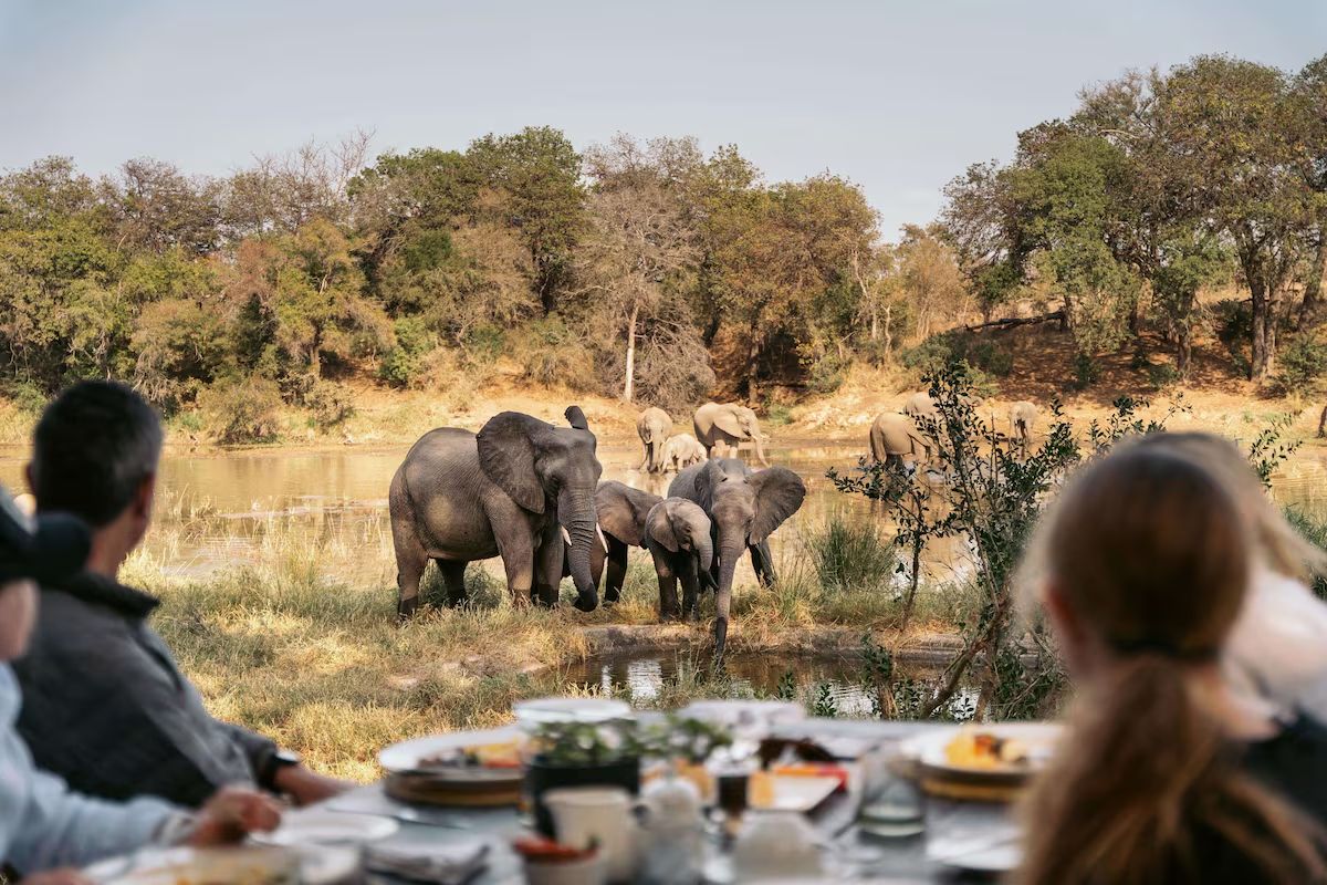 Simbavati River Lodge, South Africa