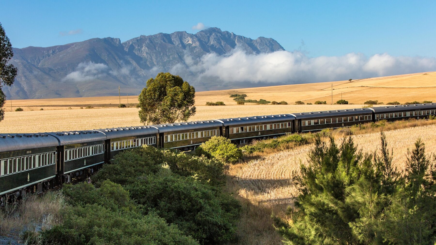 Iconic Rail Adventures Across Continents