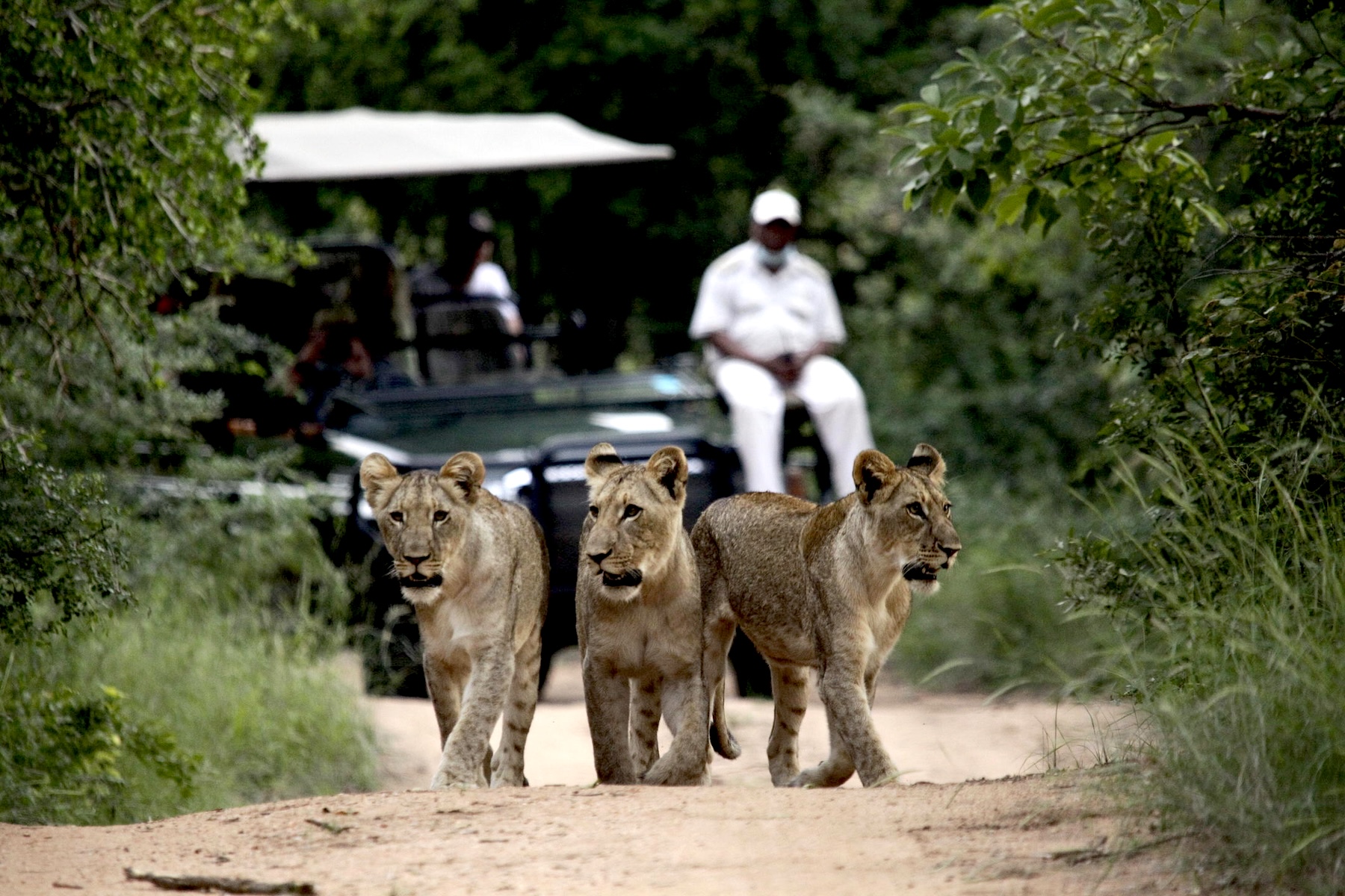 Shiduli Private Game Reserve | South Africa | Swift Travel