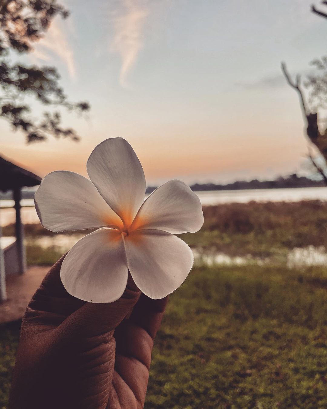 Habarana Village by Cinnamon | Sri Lanka | Swift Travel