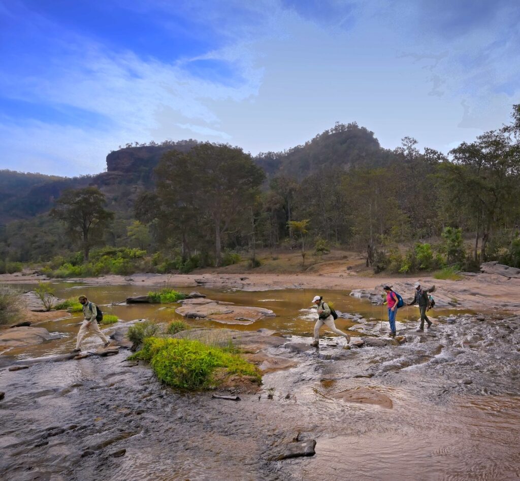 Walking Safari Satpura | India | Swift Travel
