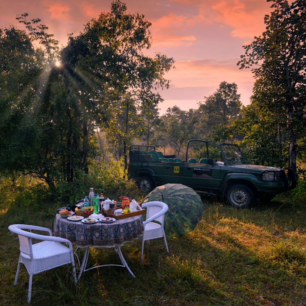 Pench Jungle Camp | India | Swift Travel