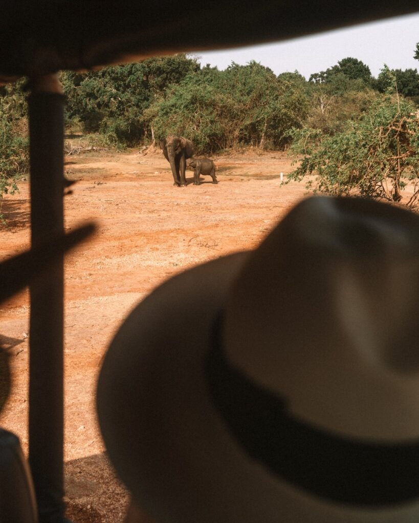 Wild Coast Tented Lodge, Yala | Sri Lanka | Swift Travel