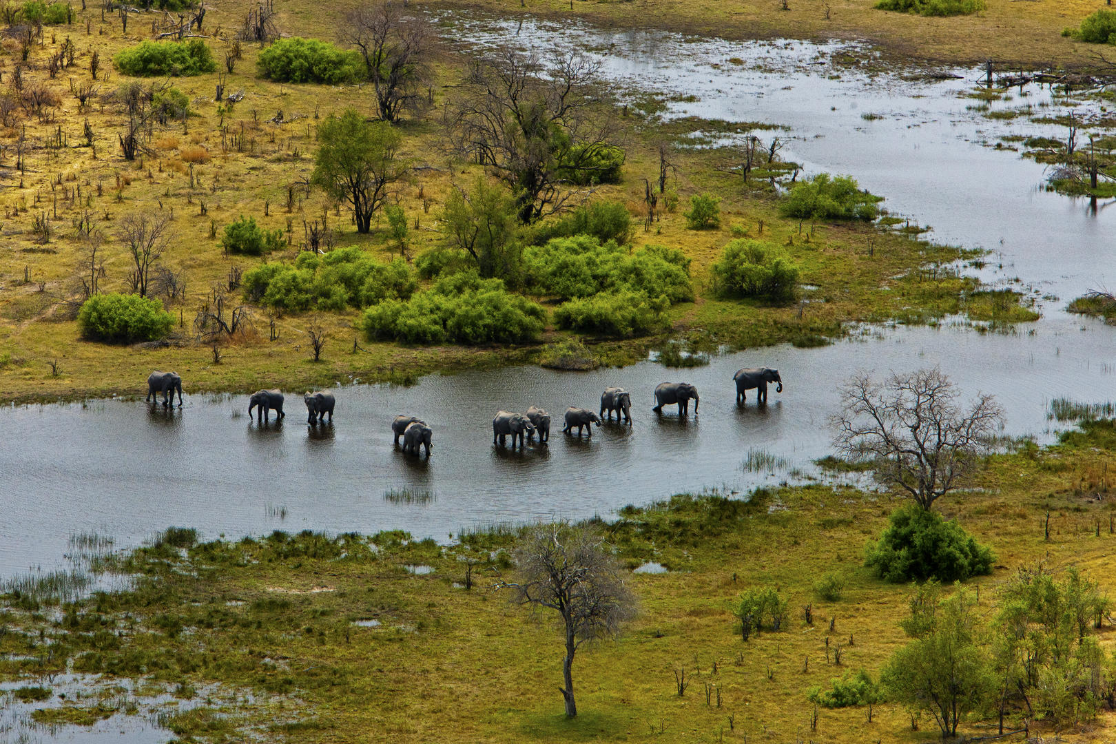 Selinda Explorers Camp | Botswana | Swift Travel
