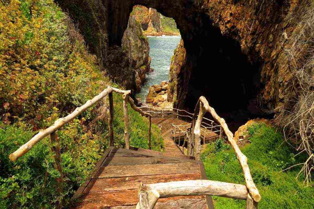 Featherbed Nature Reserve | South Africa | Swift Travel