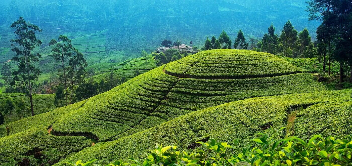 Seasons Villa, Nuwara Eliya, Sri Lanka