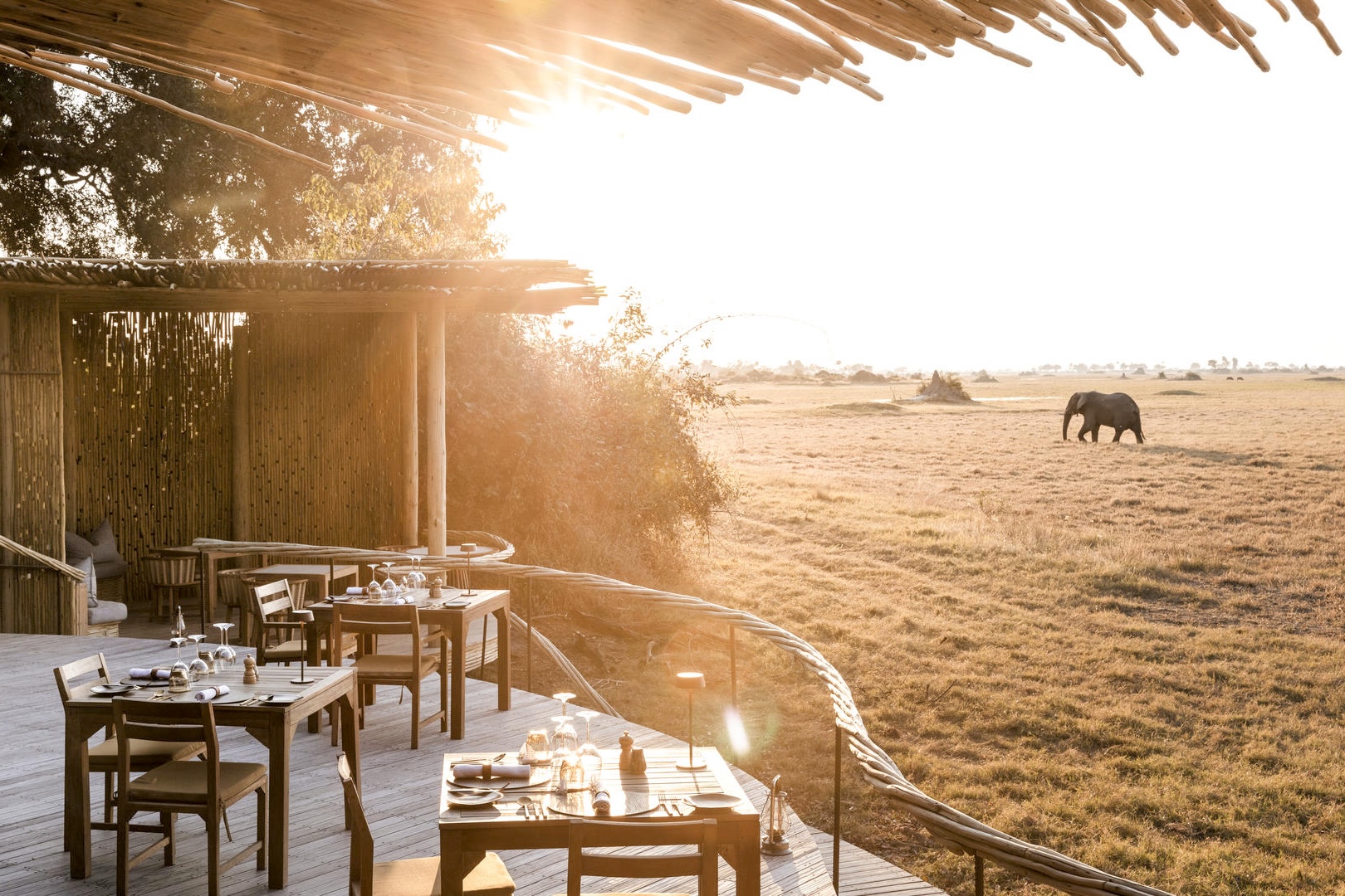 Wilderness Mombo, Botswana