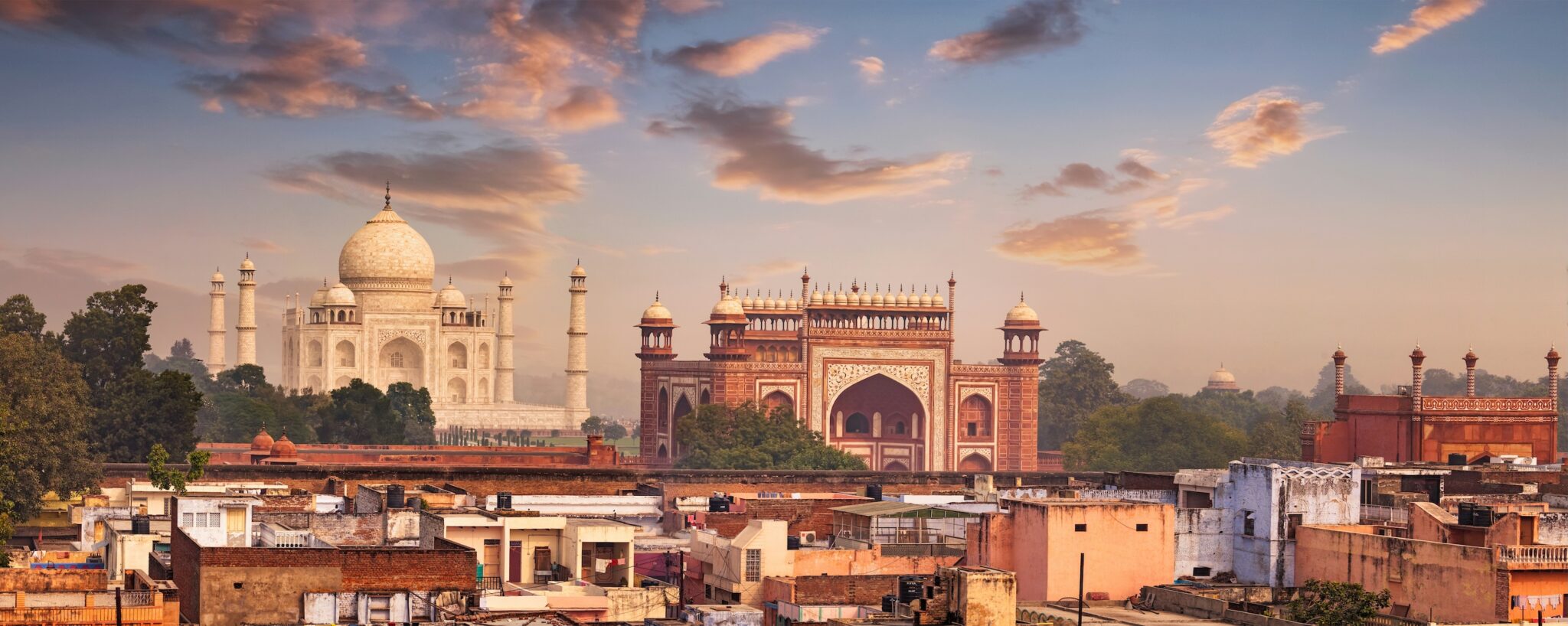 Family Journey from Taj to the Wild