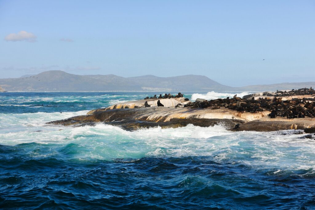 Hout Bay | South Africa | Swift Travel
