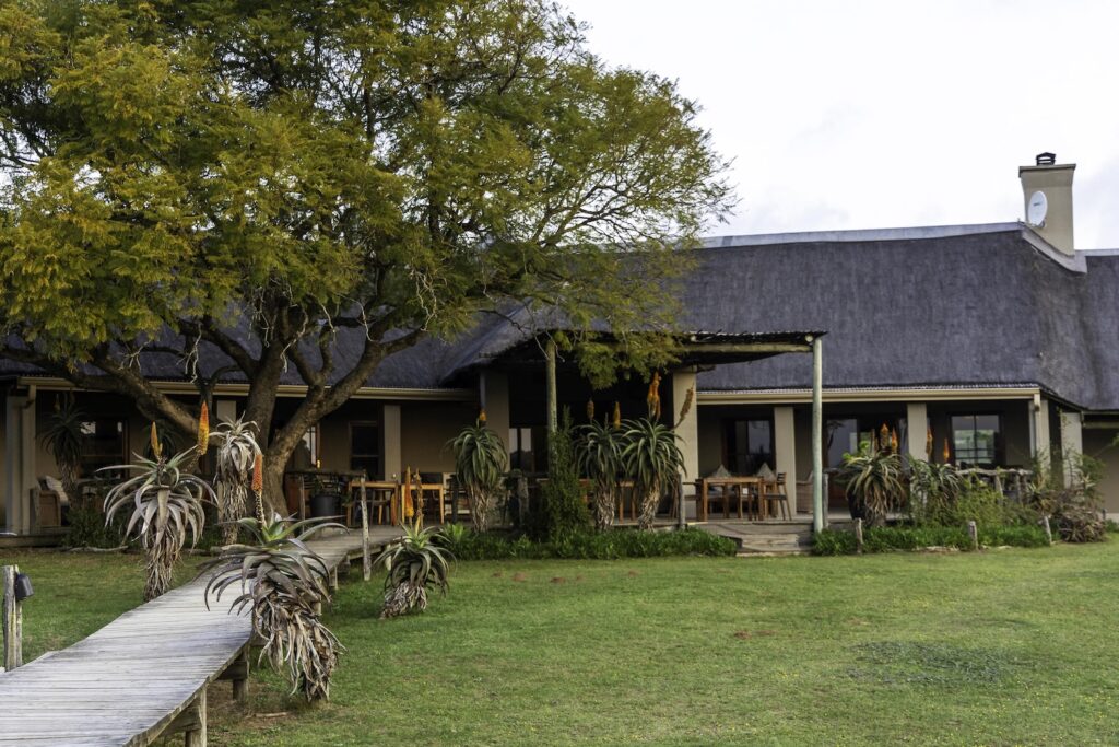 Hlosi Game Lodge, Amakhala Game Reserve | South Africa | Swift Travel